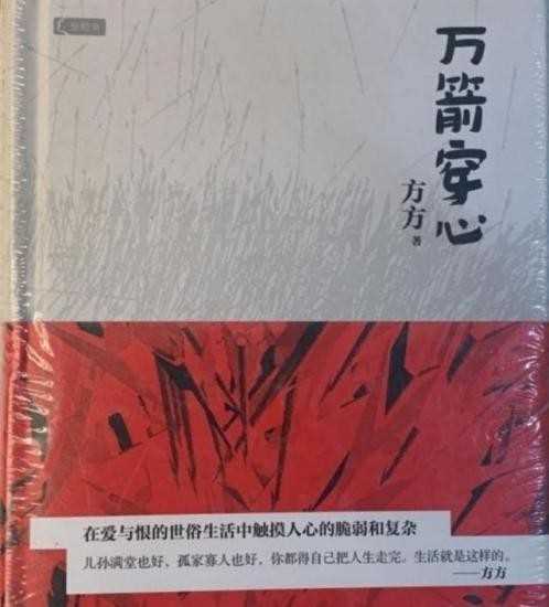 万箭穿心小说赏析（品读方方的小说万箭穿心）