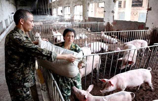 出包王女第四季（五部能让你记忆终生的后宫动漫）