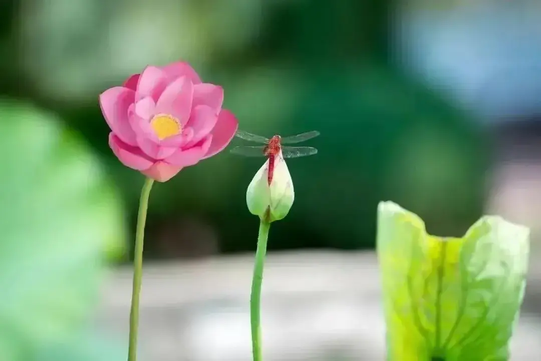 一场雨把我困在这里什么歌（仙剑一的回忆六月的雨）