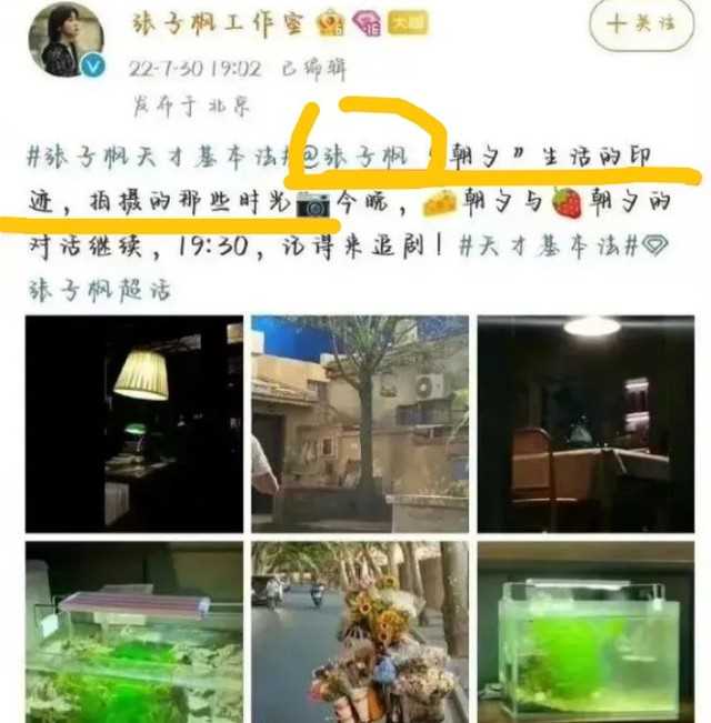 黄磊张子枫什么关系（京圈宠儿张子枫背靠5个爸爸）