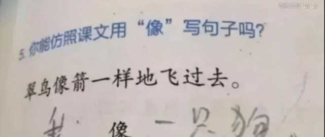 用不要不要不要只要造句子（孩子造句水平再次刷新眼球）