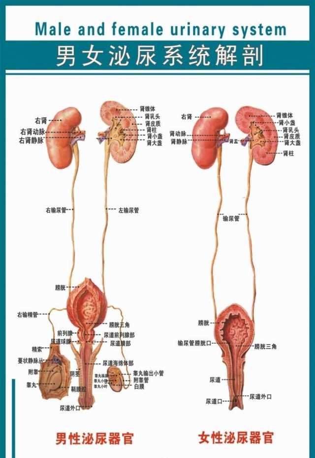 朴寒星发文道歉（朴寒星咖啡厅卫生间设计有问题）