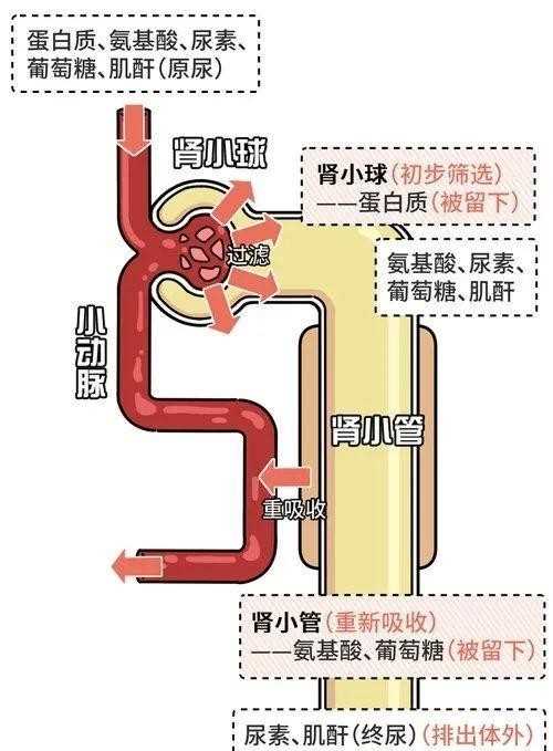 朴寒星发文道歉（朴寒星咖啡厅卫生间设计有问题）