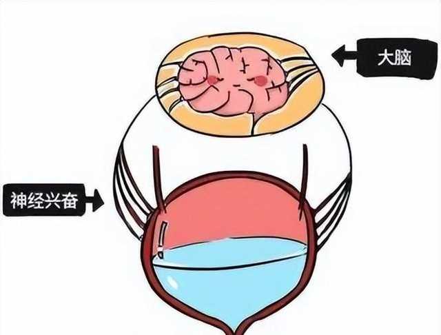 朴寒星发文道歉（朴寒星咖啡厅卫生间设计有问题）