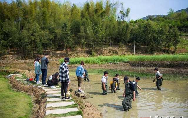 向往的生活在哪里拍的（向往的生活2取景地杭州桐庐）