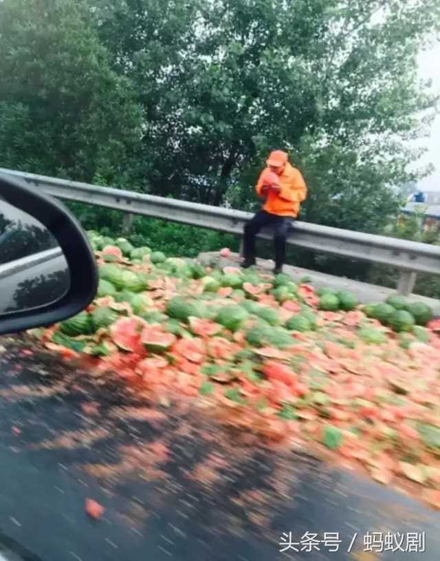 沙漠骆驼歌词什么意思（沙漠骆驼歌词反映的社会故事）