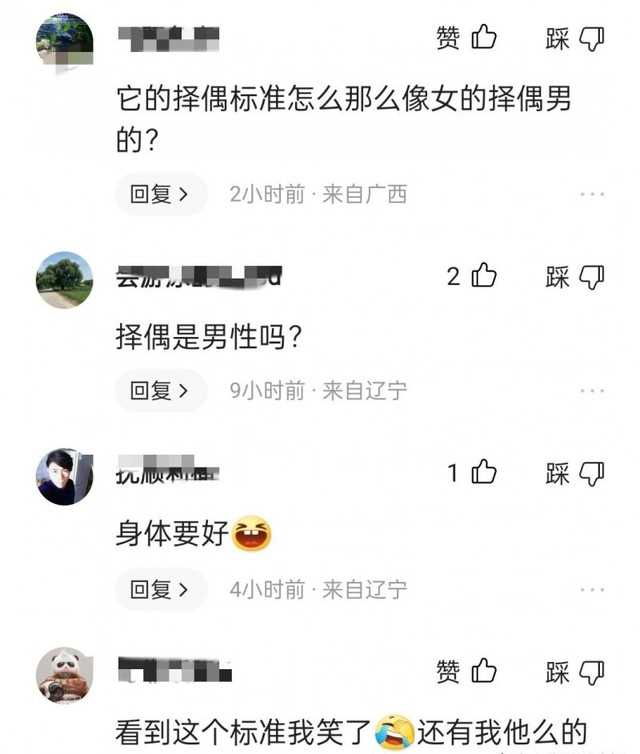 时诗个人资料（辛巴爱徒时诗公开择偶标准）