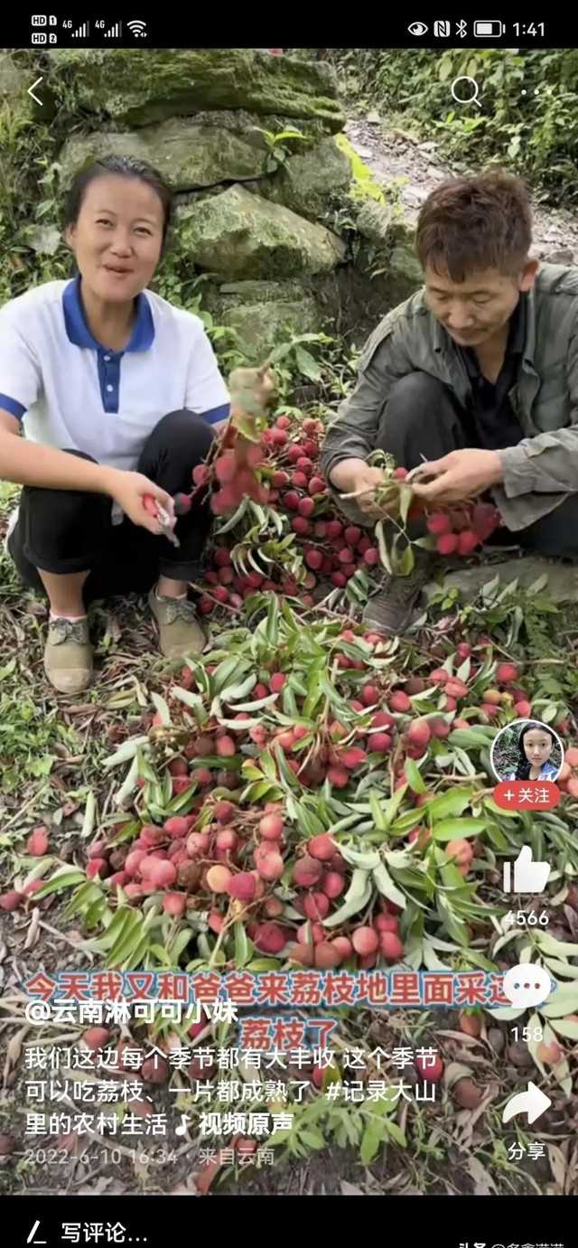 云南淋可可照片（勤劳乐观爱笑的女孩运气就是爆棚）