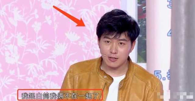 刘亮白鸽离婚原因（草根夫妻白鸽和刘亮婚姻感情史）