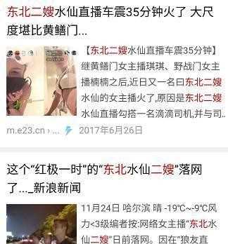 东北二嫂涉黄被抓（东北二嫂被抓背后的真相）