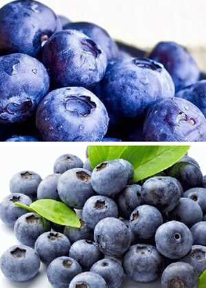 蓝莓的营养功效与作用