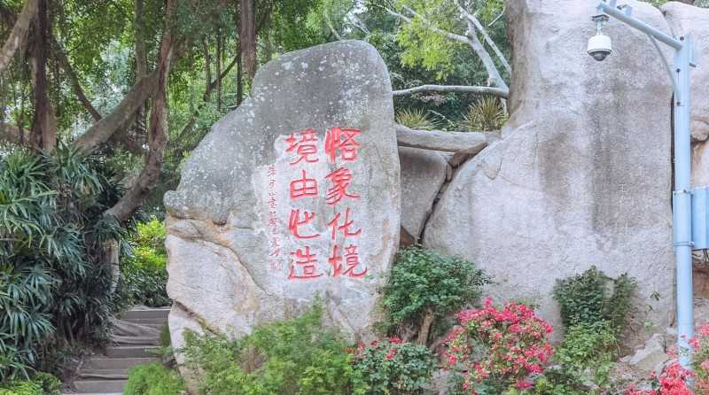 厦门万石植物园好玩吗（厦门网红景点居然是座植物园）