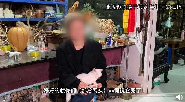 群演称猫被电死 当家主母剧组报案 结果出来前，剧组将不再回应