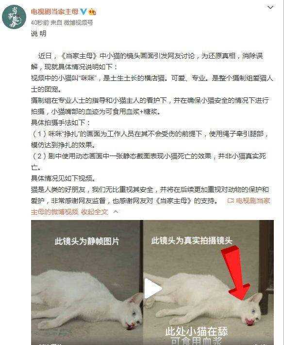 群演称猫被电死 当家主母剧组报案 结果出来前，剧组将不再回应