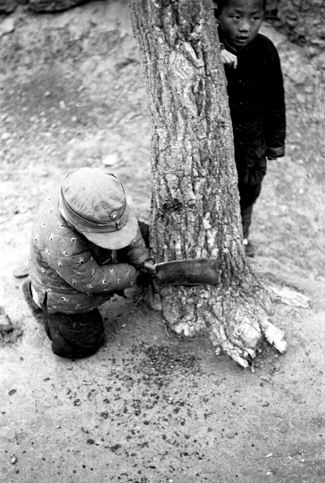 往事：河南 1942年,往事：河南 1942年