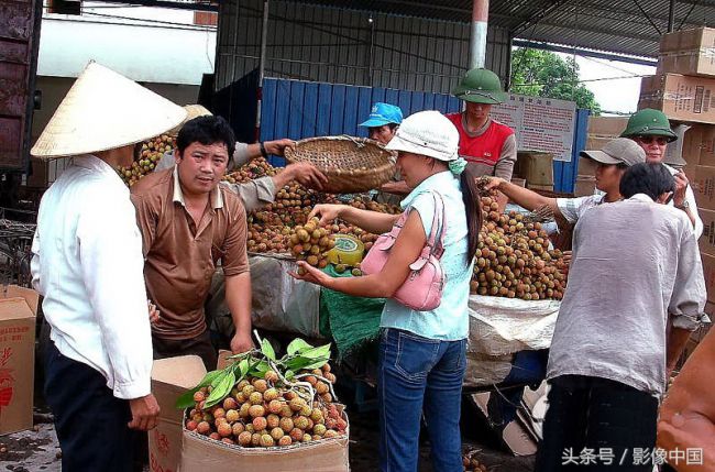 直击：中越边境，赶早“闯关”来中国的越南女人,直击：中越边境，赶早“闯关”来中国的越南女人