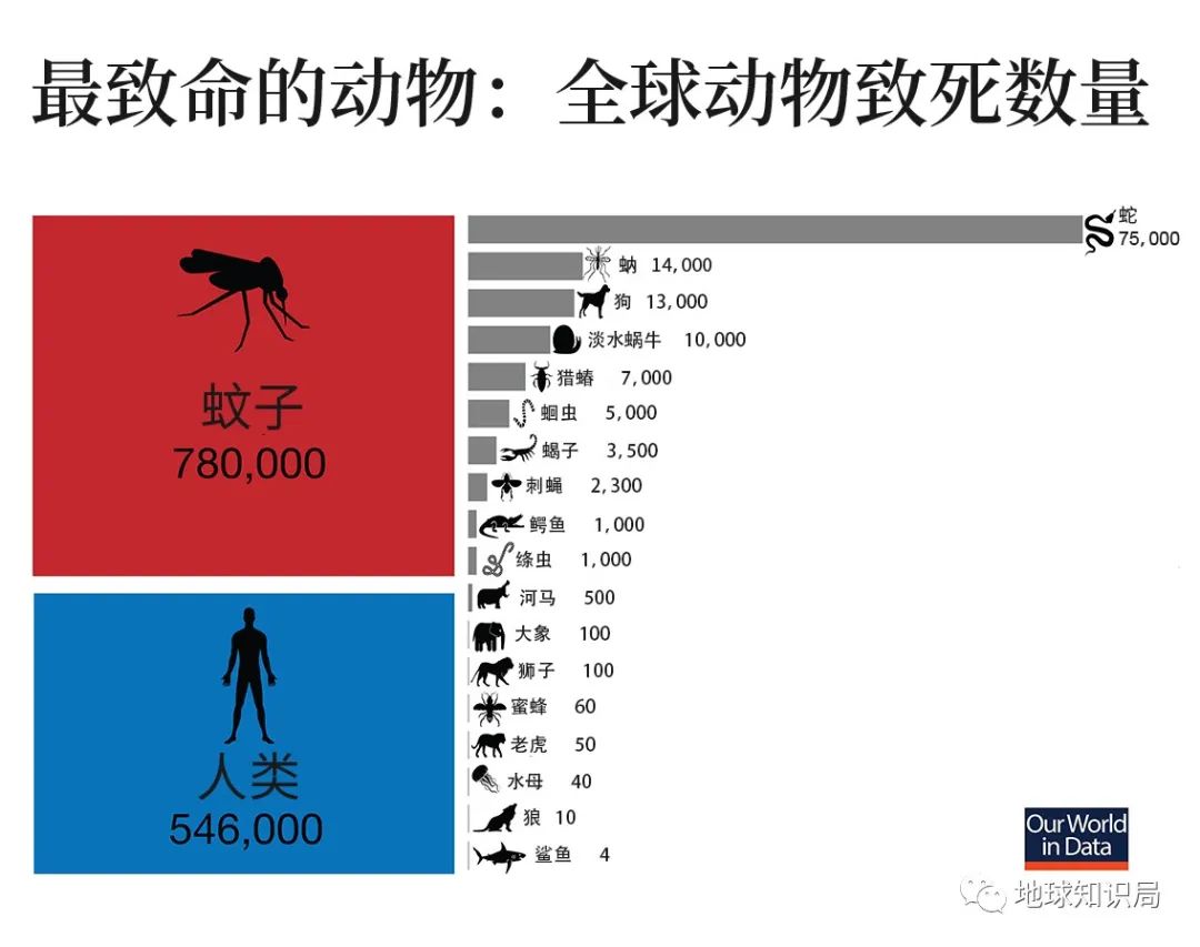 这种病，非洲特别多｜地球知识局