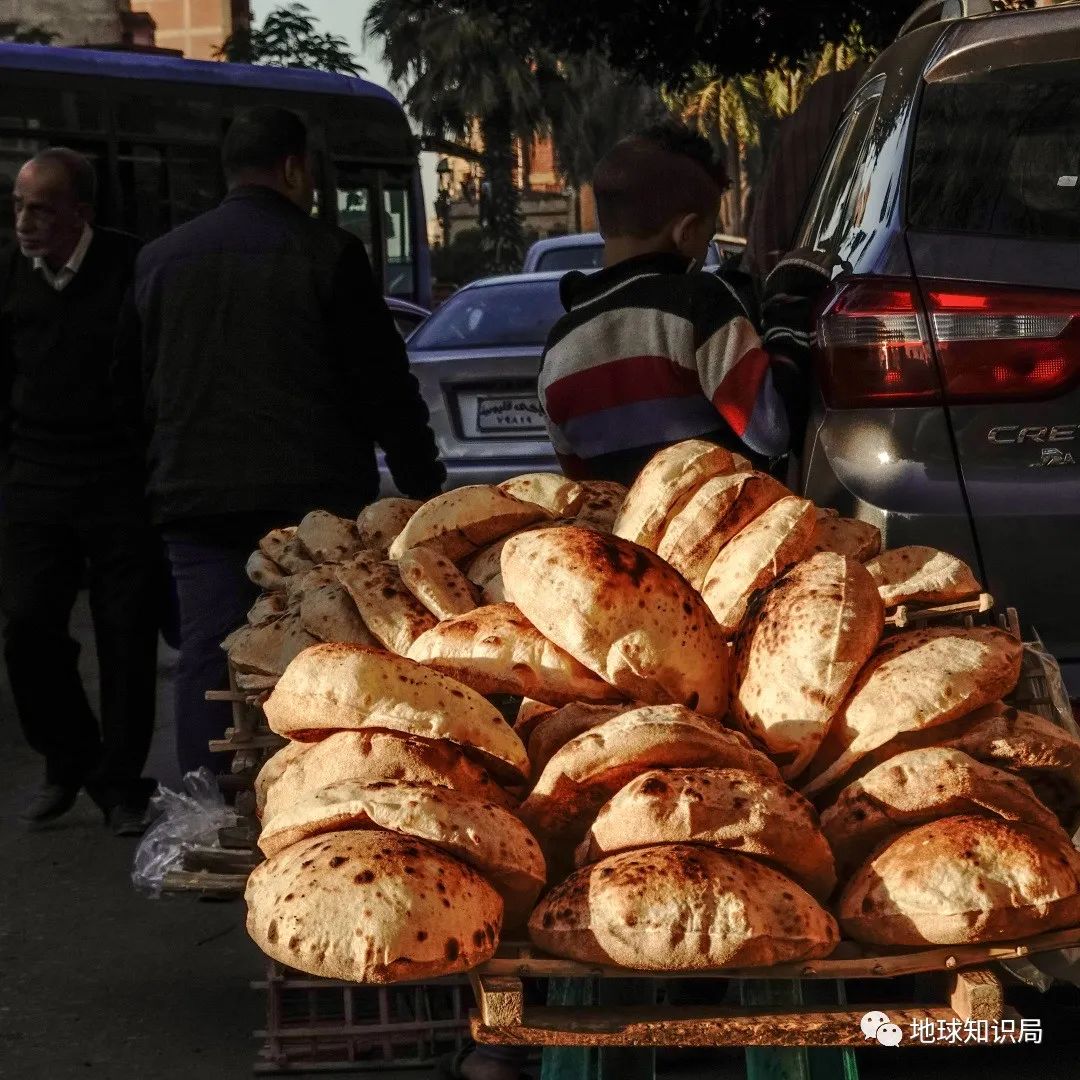 这些国家，粮食危机要来了吗？｜地球知识局