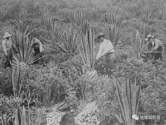 这个岛国，被列强轮番蹂躏｜地球知识局