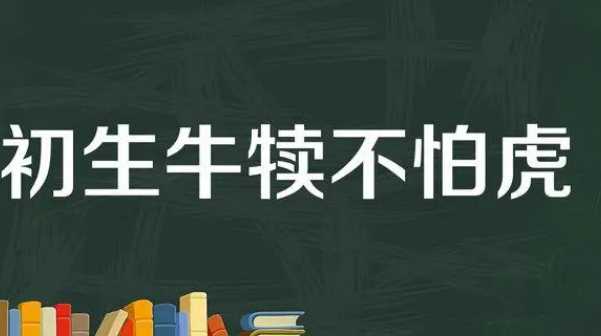 初生之犊不惧虎：勇敢面对挑战的典故