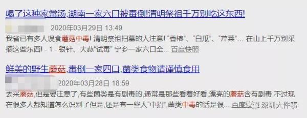 儿童野生菇中毒 小心来历不明的蘑菇(3)