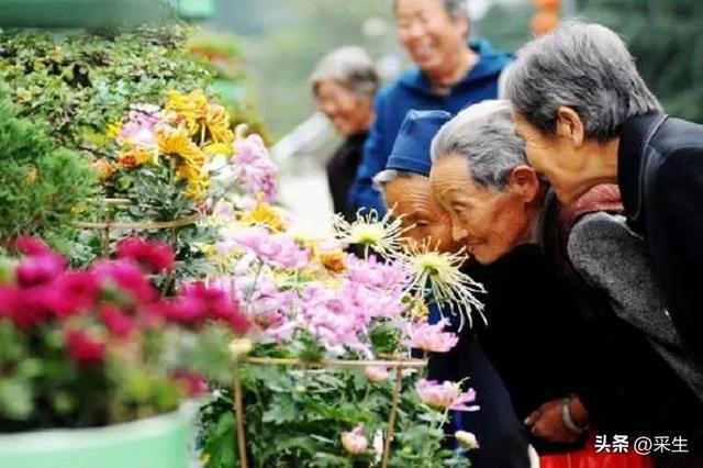 一年中的农历节日顺序 农历日月重叠节日说(13)