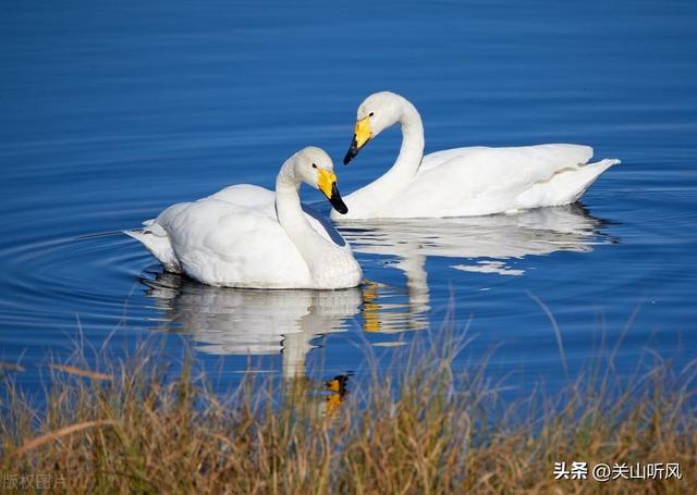 失传的民间婚嫁习俗 一些农村传统婚俗(6)