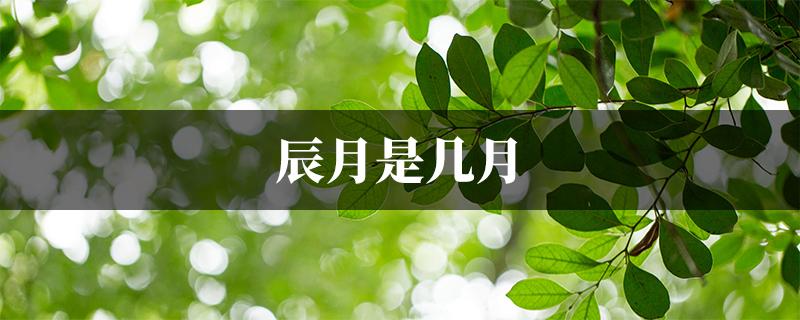 辰月 是什么意识 指几月