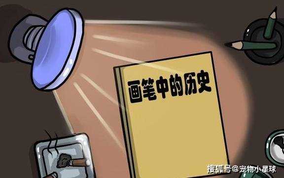 官渡之战堪称经典，曹操与袁绍的生死之战，最终是曹操以弱胜强！