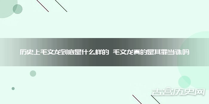 历史上毛文龙到底是什么样的 毛文龙真的是其罪当诛吗