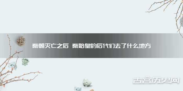 秦朝灭亡之后 秦始皇的后代们去了什么地方