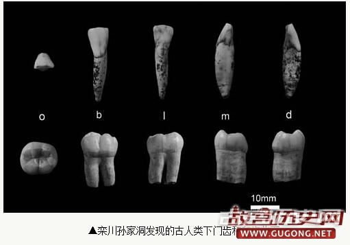 解开栾川“古老儿童”化石密码