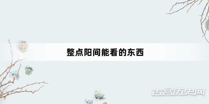 “整点阳间能看的东西”网络梗词解释