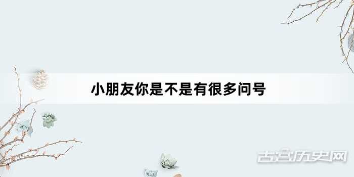 “小朋友你是不是有很多问号”网络梗词解释