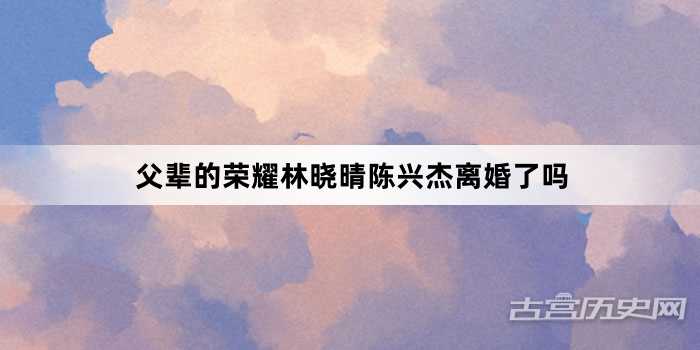 父辈的荣耀林晓晴陈兴杰离婚了吗