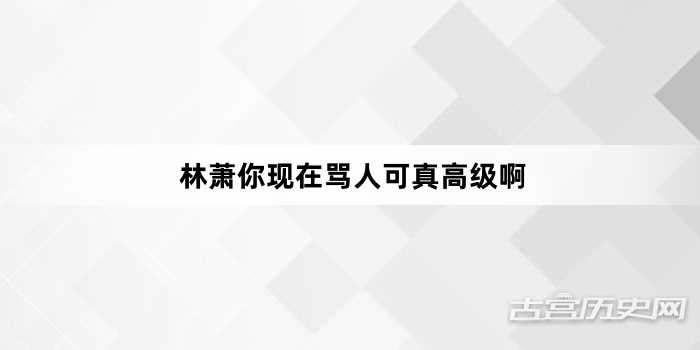 “林萧你现在骂人可真高级啊”网络梗词解释