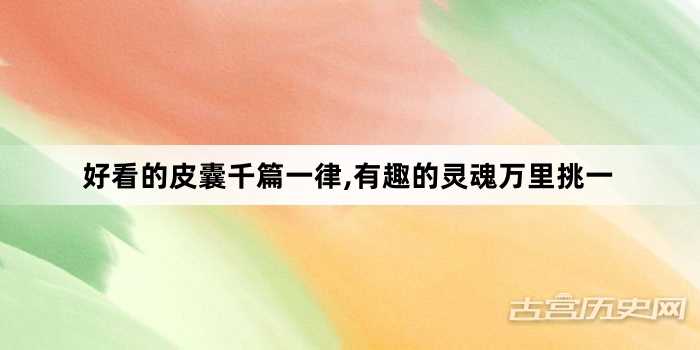 “好看的皮囊千篇一律,有趣的灵魂万里挑一”网络梗词解释