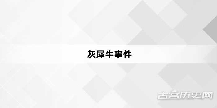 “灰犀牛事件”网络梗词解释