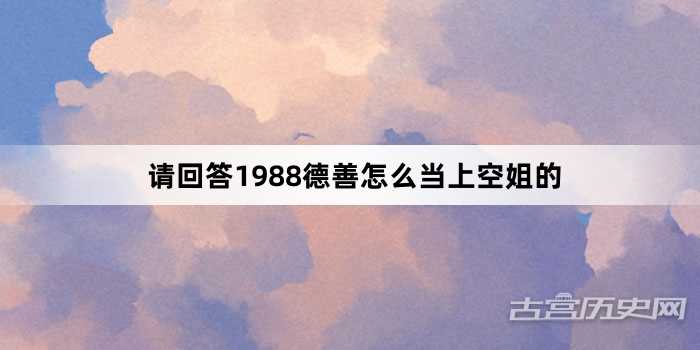 请回答1988德善怎么当上空姐的