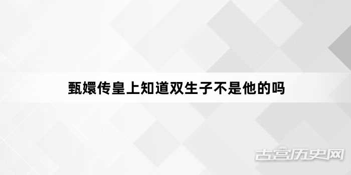 甄嬛传皇上知道双生子不是他的吗