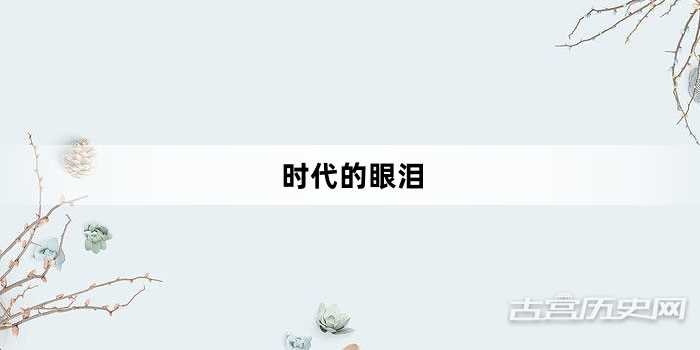 “时代的眼泪”网络梗词解释