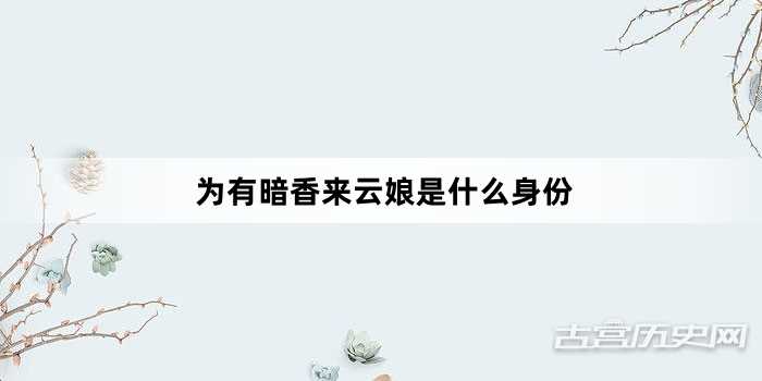 为有暗香来云娘是什么身份