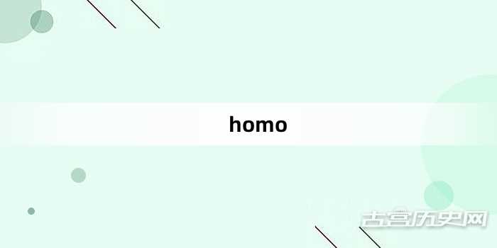 “homo”网络梗词解释