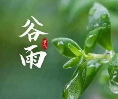 谷雨节气的风俗：春耕与养生并重