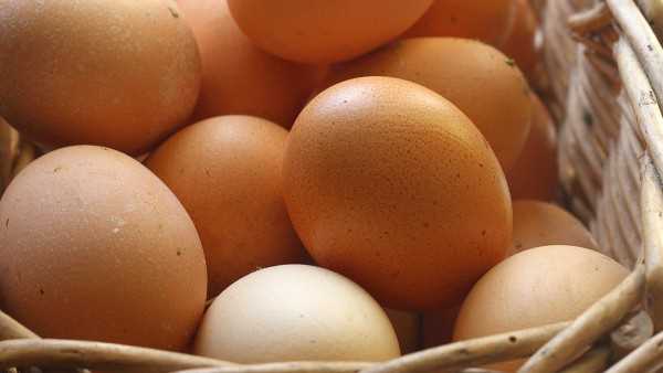 绿壳鸡蛋和普通鸡蛋哪种营养价值高