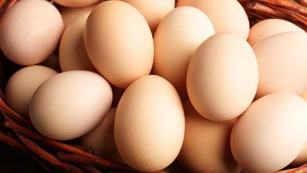 吃鸡蛋对刀口愈合有好处吗