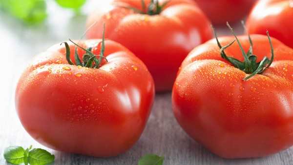 吃西红柿可以增强免疫力吗