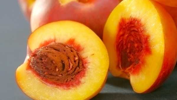孕妇可以吃没熟透的油桃吗