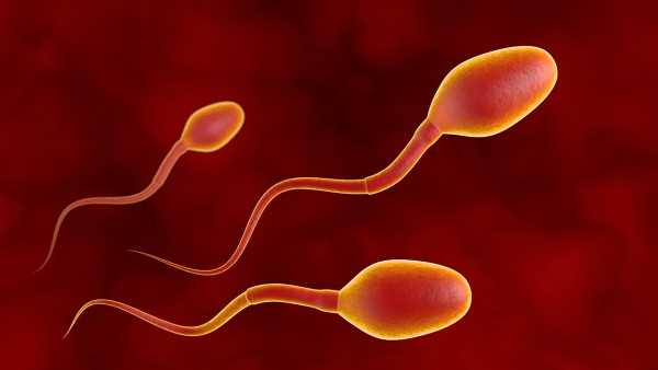 影响精子和卵子结合的因素有哪些