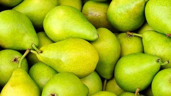 适合养胃吃的8种水果是什么